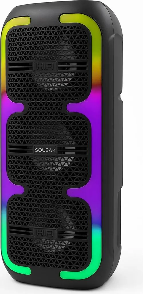 Enceinte Karaoké Bluetooth 5.3 Squeak avec microphone sans fil SQ1009