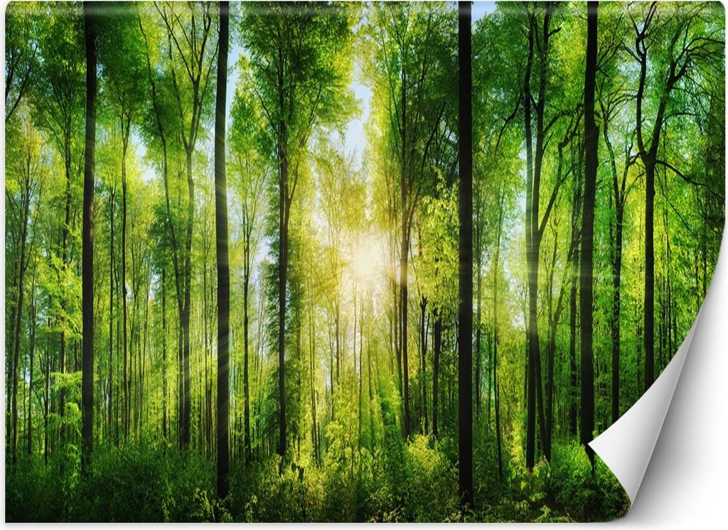 Vlies fototapete Sonnenschein in einem grünen Wald 200x140 cm Feeby Grün inkl. Kleber einfache Montage
