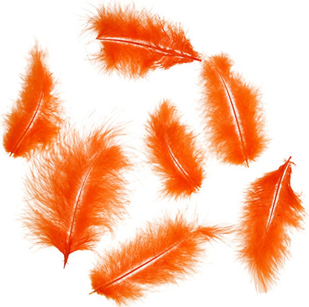 Orange Federn kurz 30g für Deko, Basteln, Kostüme