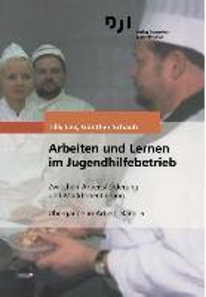 Schaub, G: Arbeiten und Lernen im Jugendhilfebetrieb