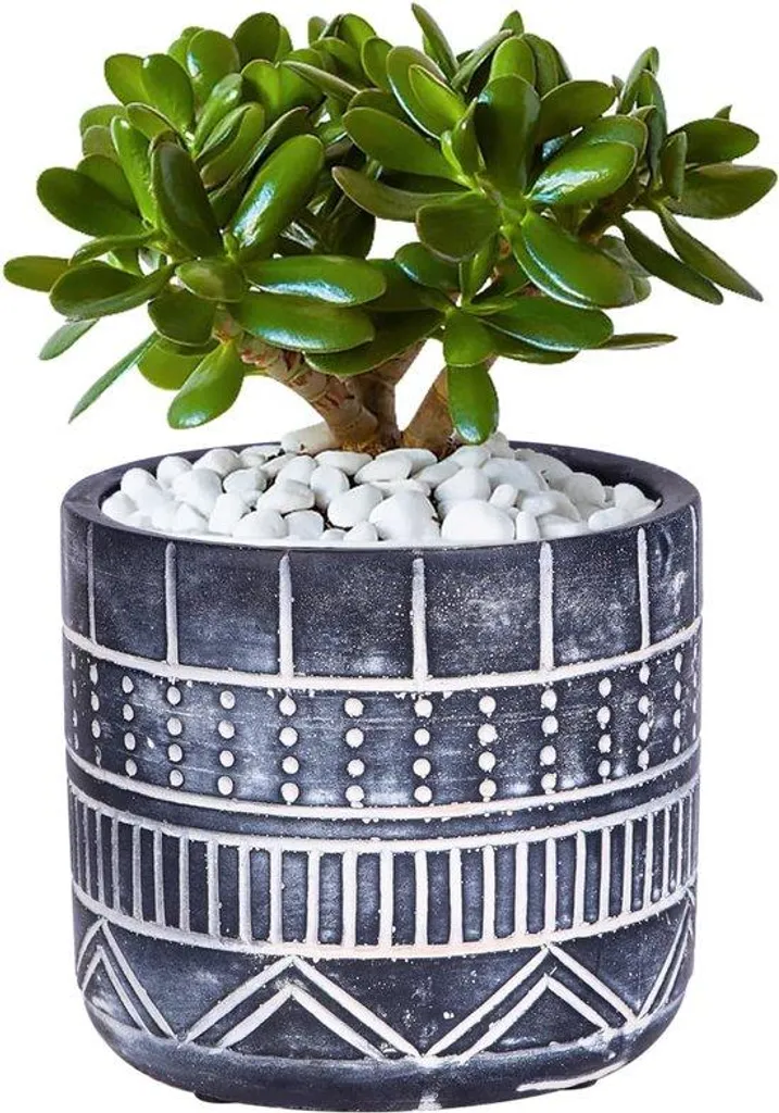 Pot de fleurs en céramique gris 12,5 cm : Fini les pots en plastique
