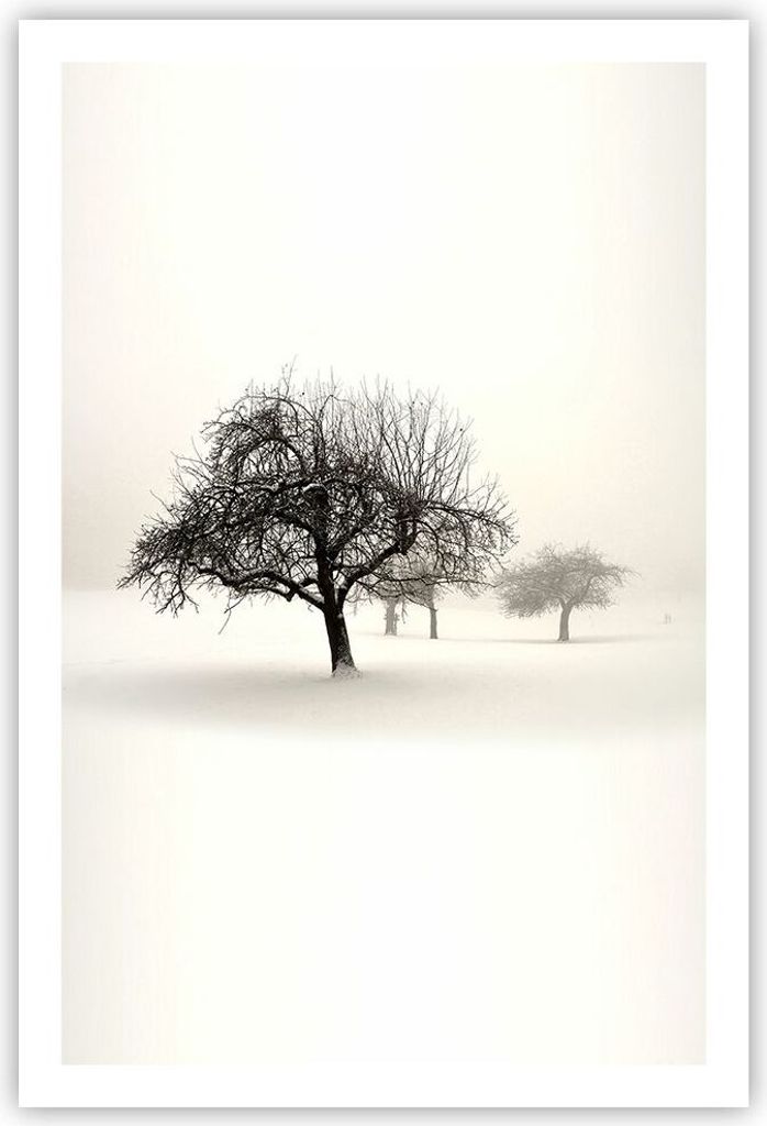 Poster - Poster ohne Rahmen - Bäume Schnee Nebel - 61x91,5 cm - Wand Bild - Wanddeko - Wandbilder - Kunstposter - Wandposter - Bilder - Kunstdruck...