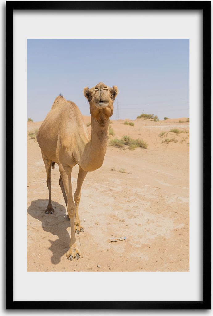 Bild - Bilderrahmen - 40 cm x 60 cm - MDF - Rahmen - Produktbild 