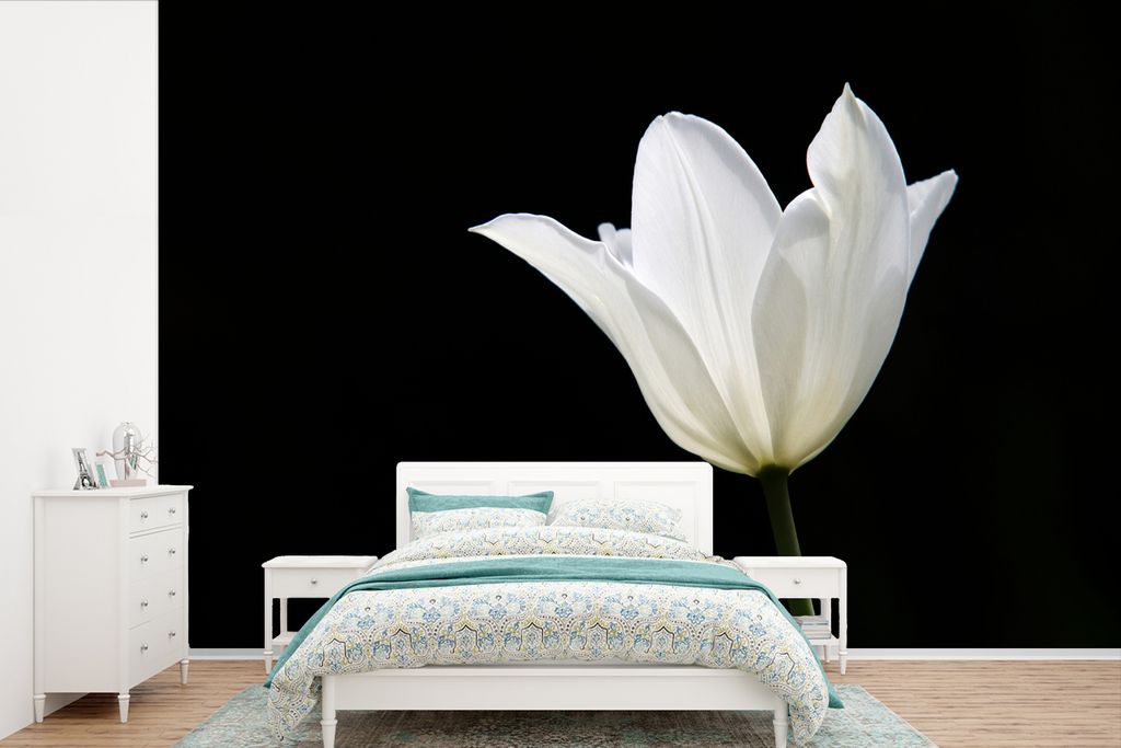 MuchoWow Fototapete für Wohnzimmer oder Schlafzimmer Wandtapete Vinyl Motivtapete Weiße Tulpe - 330x220 cm - Fototapeten