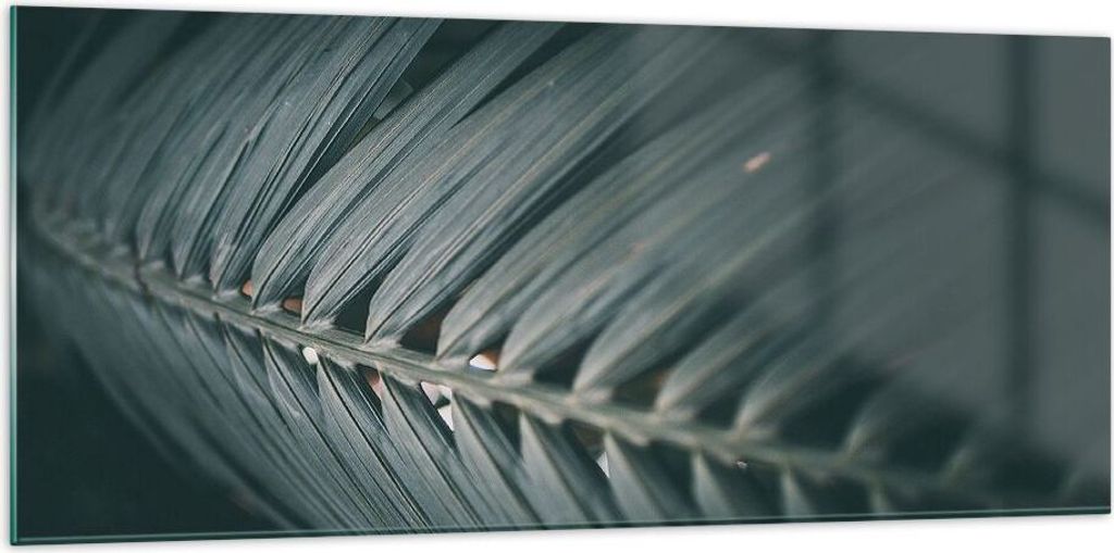 Bilder auf glas - Einteilig - Blatt Palme exotisch - 120x50cm - Glasbilder - Wandbilder - Bilder - zum Aufhängen bereit - Wanddekoration aus Glas ...