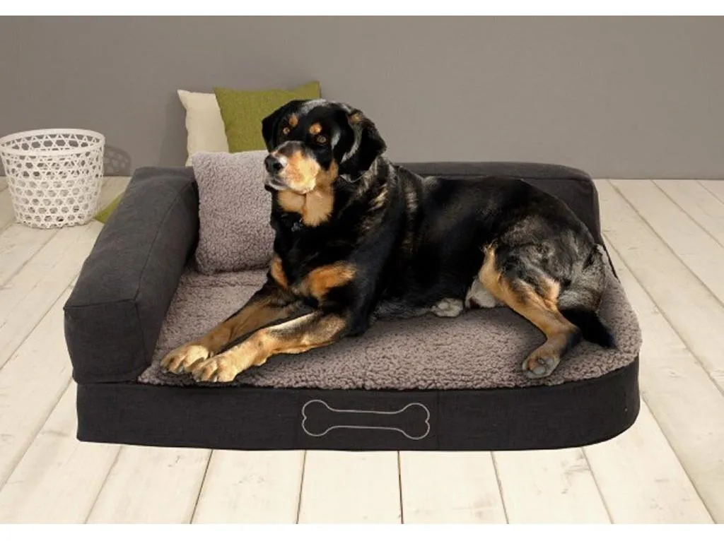 Coussin Chien Contre les Douleurs Articulaires Sun Garden Pallina 80x60