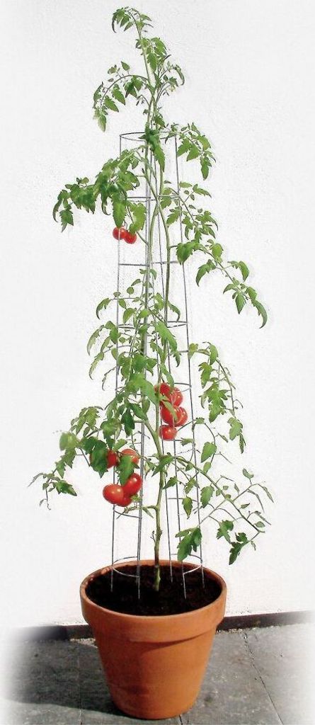 Bellissa Tomatenturm 180cm 180 cm hoch Produktbild 