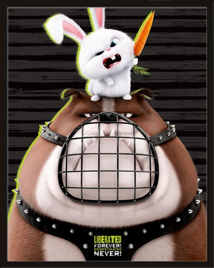 Mini Poster Secret Life Of Pets Libéré avec Cadre Shinsuke Noir en MDF