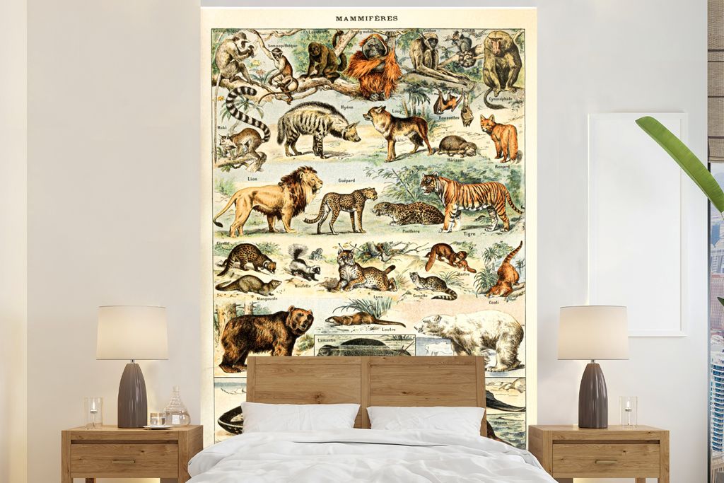 MuchoWow Fototapete für Wohnzimmer oder Schlafzimmer Wandtapete Vinyl Motivtapete Tiere - Vintage - Adolphe Millot - Tiger - Löwe - 155x240 cm ...