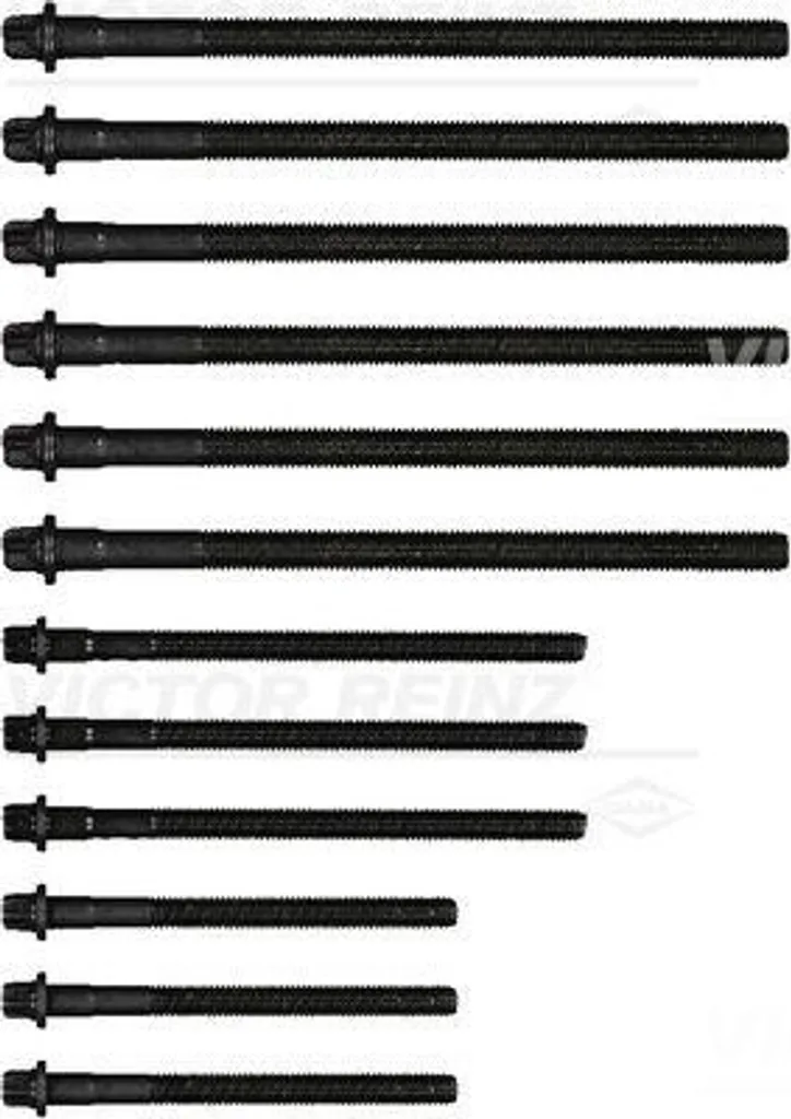Set Viti Testata Victor Reinz 14-32314-01 per BMW Serie 1 3 X3 Z4