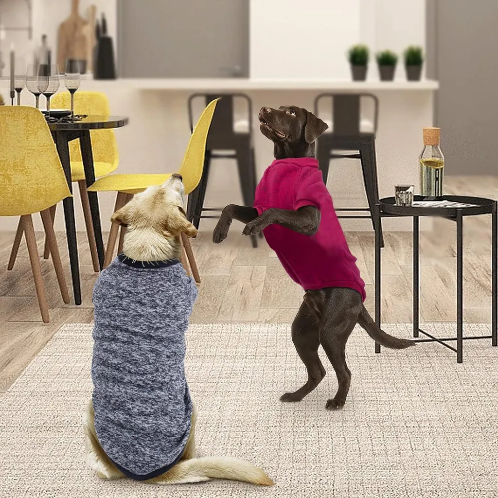 Vêtement chaud pour chien moyen taille 5XL, idéal promenades d'hiver