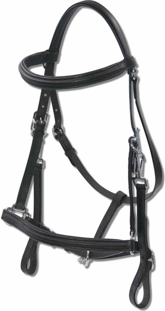 Zaum-Halfter Kombination schwarz mit Gurtzügel in F/S