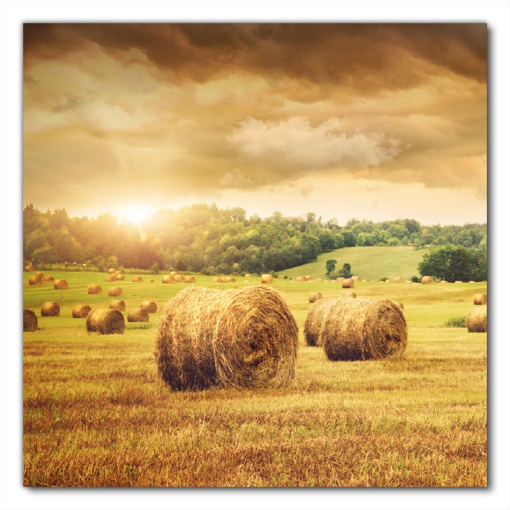 Wallario selbstklebende Möbelfolie/ Tischdecke für Innen und Außen, Größe: 50 x 50 cm - Strohballen auf dem Feld bei Sonnenuntergang