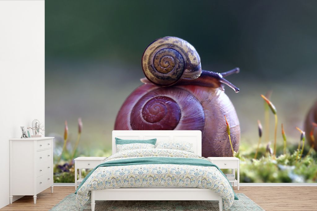 MuchoWow Fototapete für Wohnzimmer oder Schlafzimmer Wandtapete Vinyl Motivtapete Schnecken - Gras - Frühling - 525x350 cm - Das Hintergrundbild