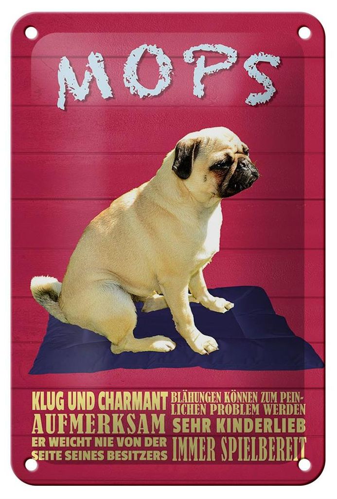 Blechschild Spruch 12x18cm Mops Hund klug und charmant