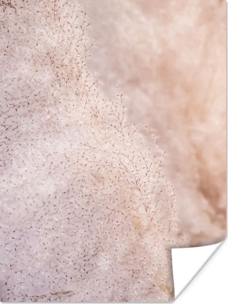 MuchoWow Poster Pampasgras - Struktur - Pflanzen - Natur 30x40 cm - Wandplakat - Poster Kinderzimmer