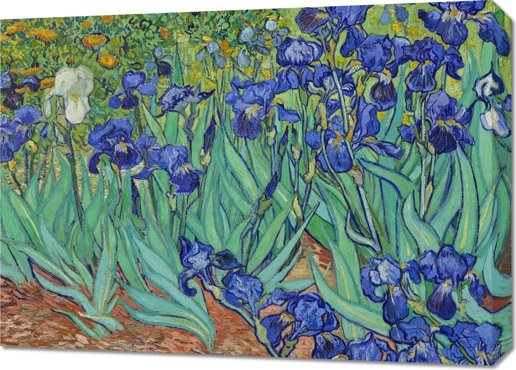 Bild 70x50cm Iris, Van Gogh Vintage für das Wohnzimmer