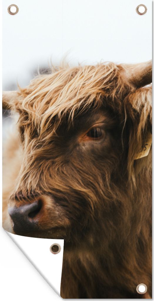 MuchoWow 40x80 cm Outdoor-Poster Gartendeko Sichtschutz Garten Poster für den Garten Schottischer Highlander - Tiere - Hörner