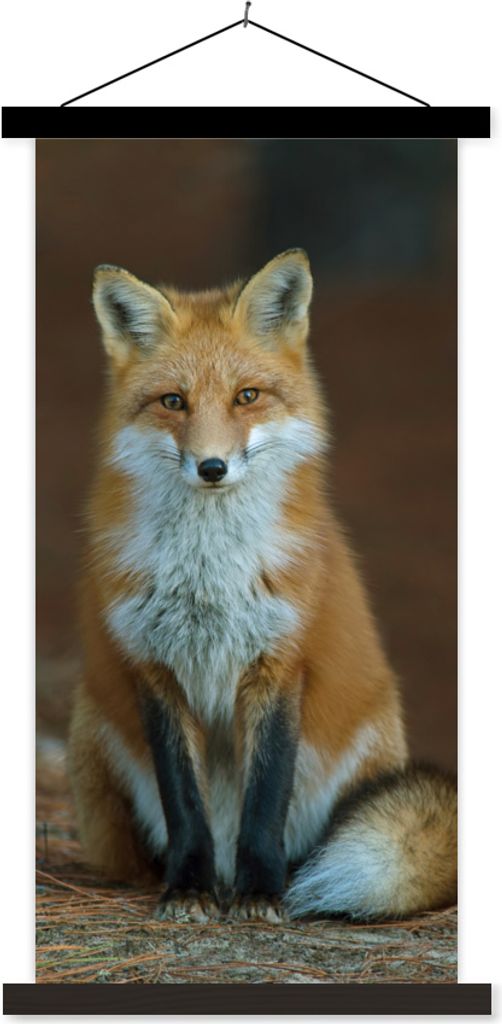MuchoWow Textilposter Fuchs - Makro - Rot 60x120 cm mit schwarzem Rahmen - Magnete