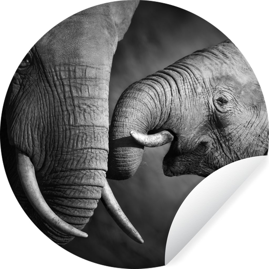 MuchoWow Runde Wandtattoo - Wandsticker Tapete Aufkleber Wildtiere - Elefant - Schwarz - Weiß - Porträt Ø 80 cm Selbstklebend und Repositionie...