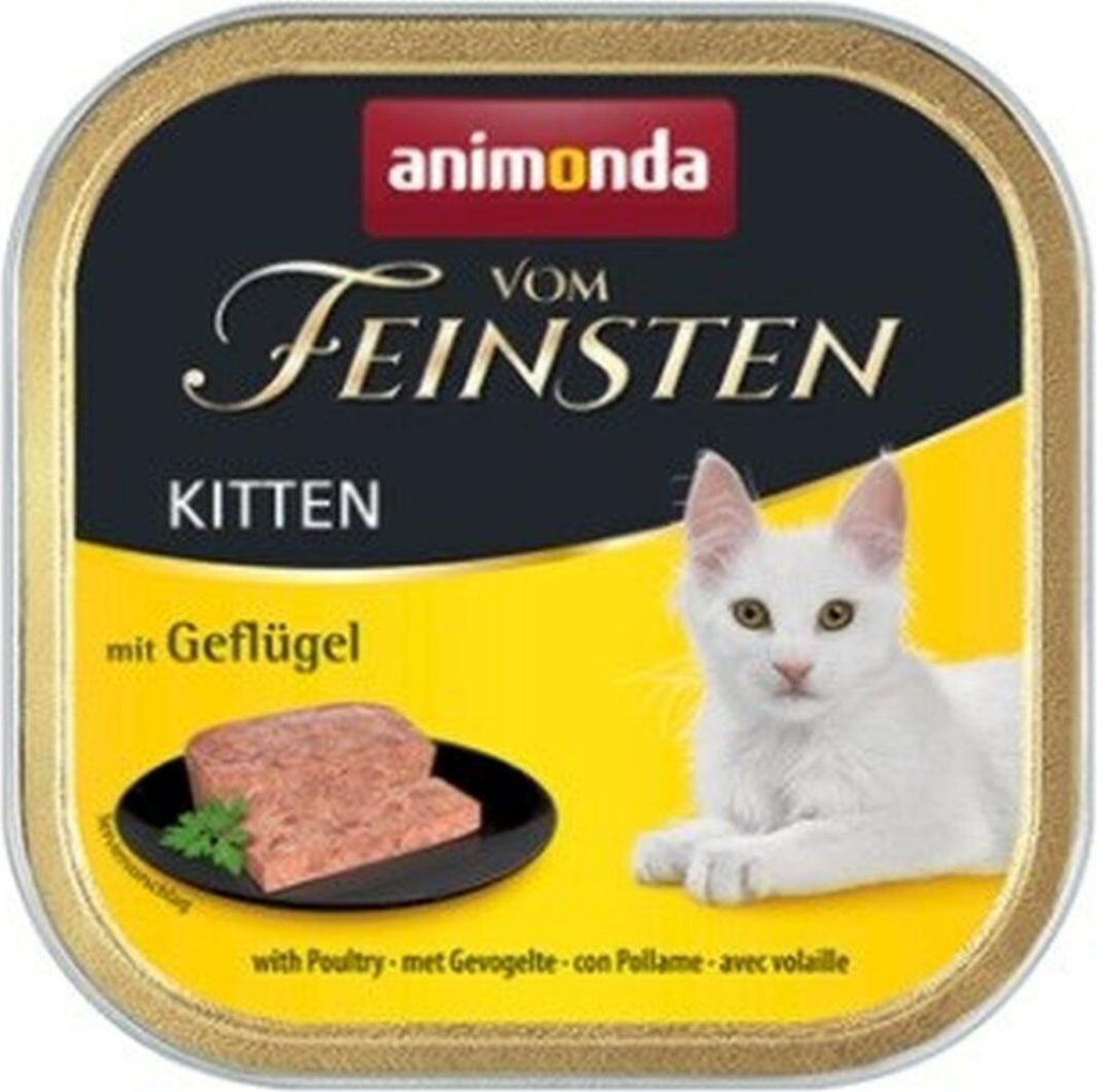 A square tin of cat food for kittens, featuring a white kitten and a portion of the food on a plate.