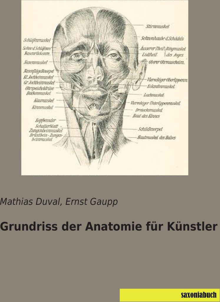 Grundriss der Anatomie für Künstler