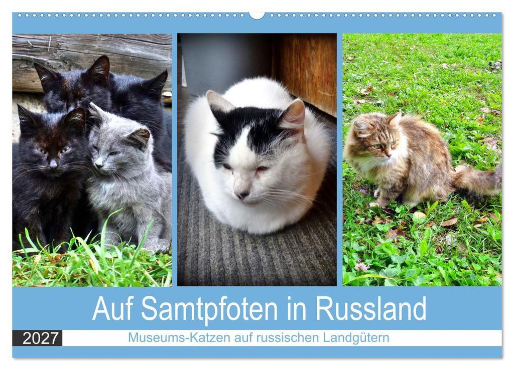 Auf Samtpfoten in Russland - Museums-Katzen auf russischen Landgütern (Wandkalender 2027 DIN A2 quer), CALVENDO Monatskalender