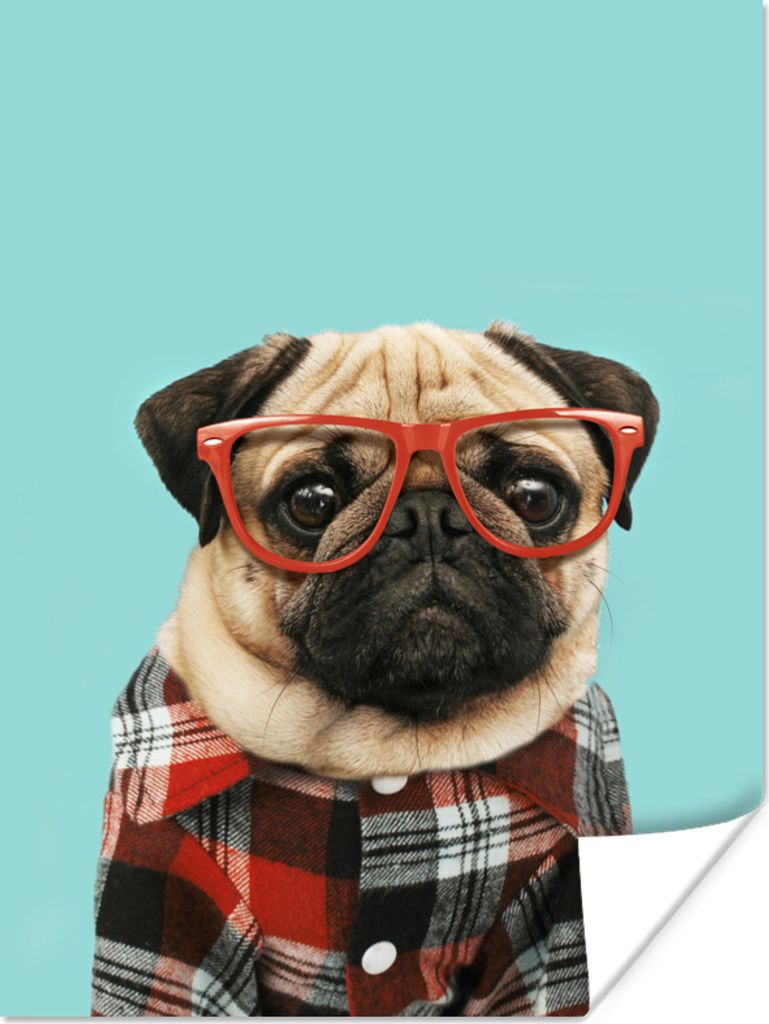 MuchoWow Poster Hund - Hipster - Brille - Bluse 90x120 cm - Wohnzimmer