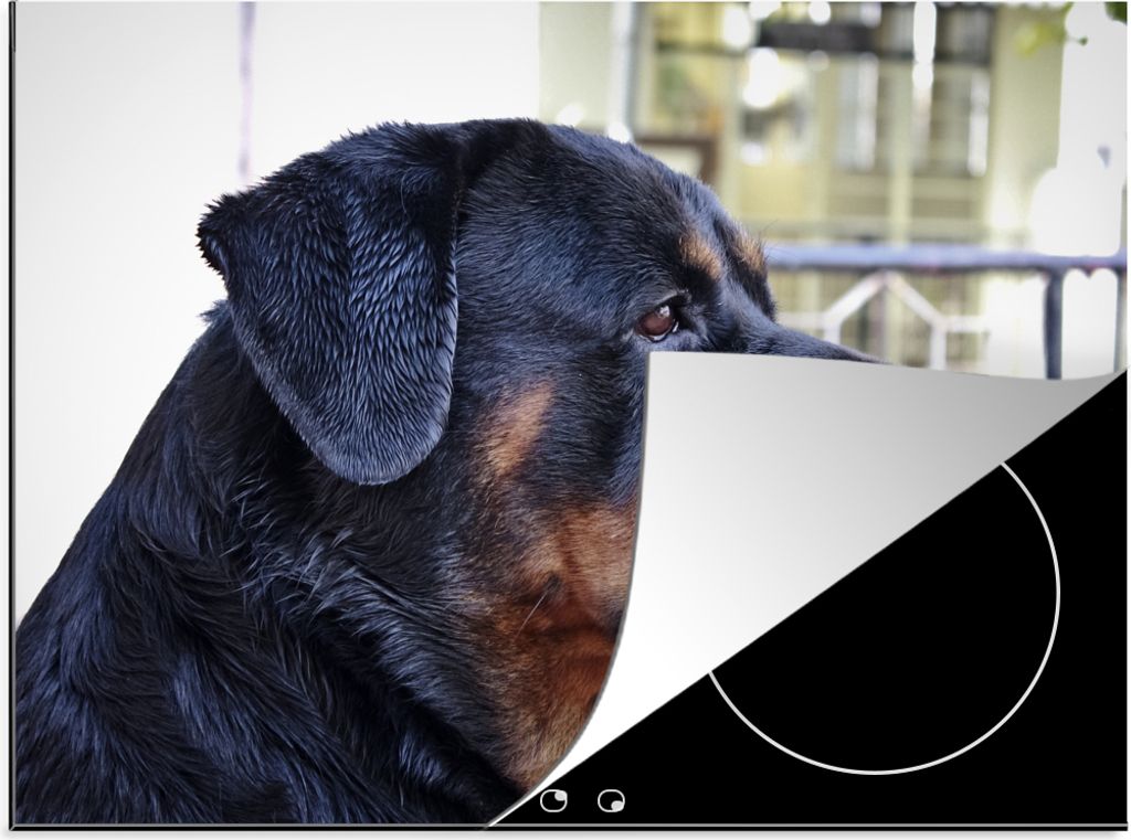KitchenYeah Herdabdeckplatte Seitenansicht des Kopfes eines Rottweilers , 75x52cm, Küche Deko, Glaskeramikkochfeld Herdabdeckung, Abdeckplatte f...