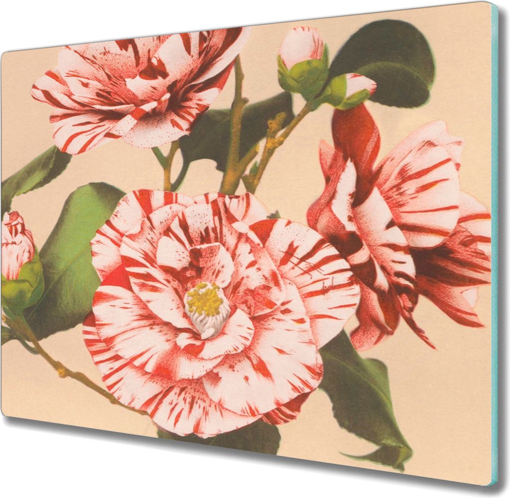 Coloray Hackbrett Kochplattenabdeckung Herdabdeckplatte 60x52 cm Schneidebrett Küchenbrett - Blumen Pflanzen