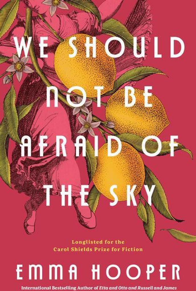 We Should Not Be Afraid of the Sky