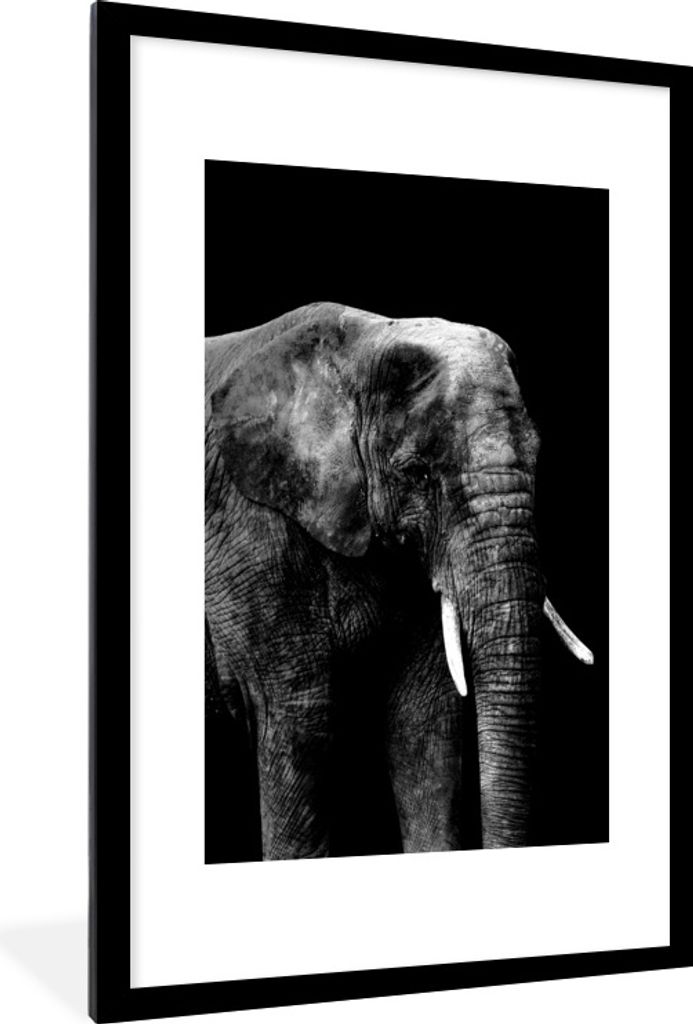 MuchoWow Gerahmtes Poster Elefant vor schwarzem Hintergrund - schwarz und weiß 60x90 cm - Poster mit Schwarzem Bilderrahmen Wandposter Rahmen Fo...