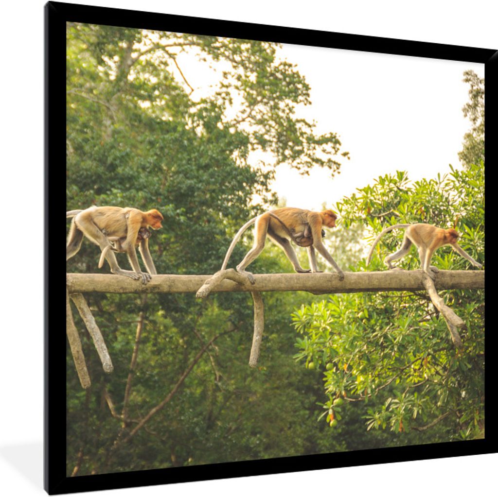 MuchoWow Gerahmtes Poster Affen laufen auf Ast 40x40 cm - Poster mit Schwarzem Bilderrahmen Wandposter Rahmen Foto Bilder - Mit Rahmen - Wanddeko...