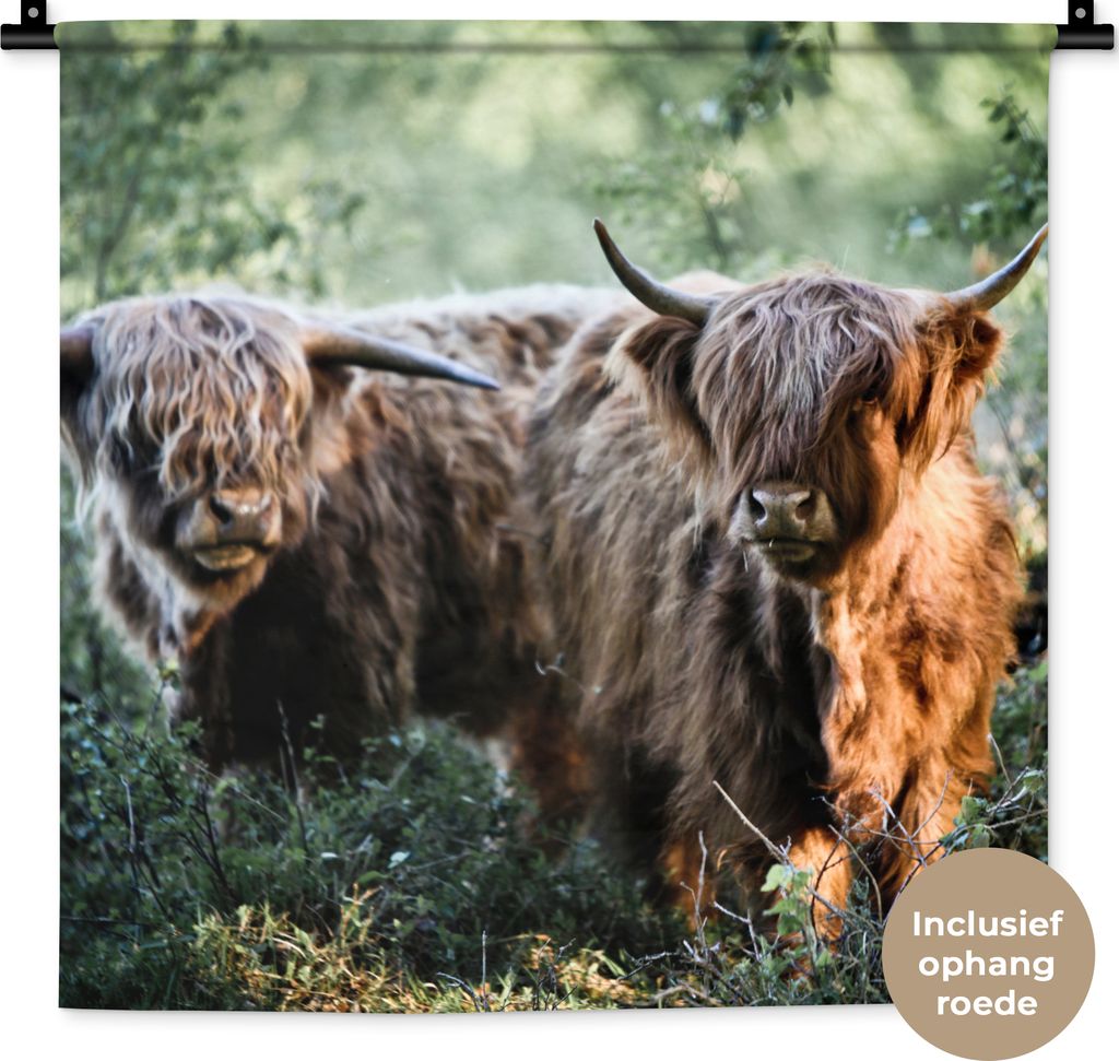 MuchoWow Wandteppich Wandbehang Schottische Hochlandrind - Wald - Tiere 60x60 cm Tapisserie Dekoration Wandtuch - Dekorationen - Wand Decke
