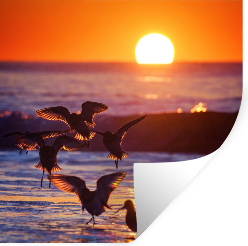 MuchoWow - Selbstklebend - Fototapeten