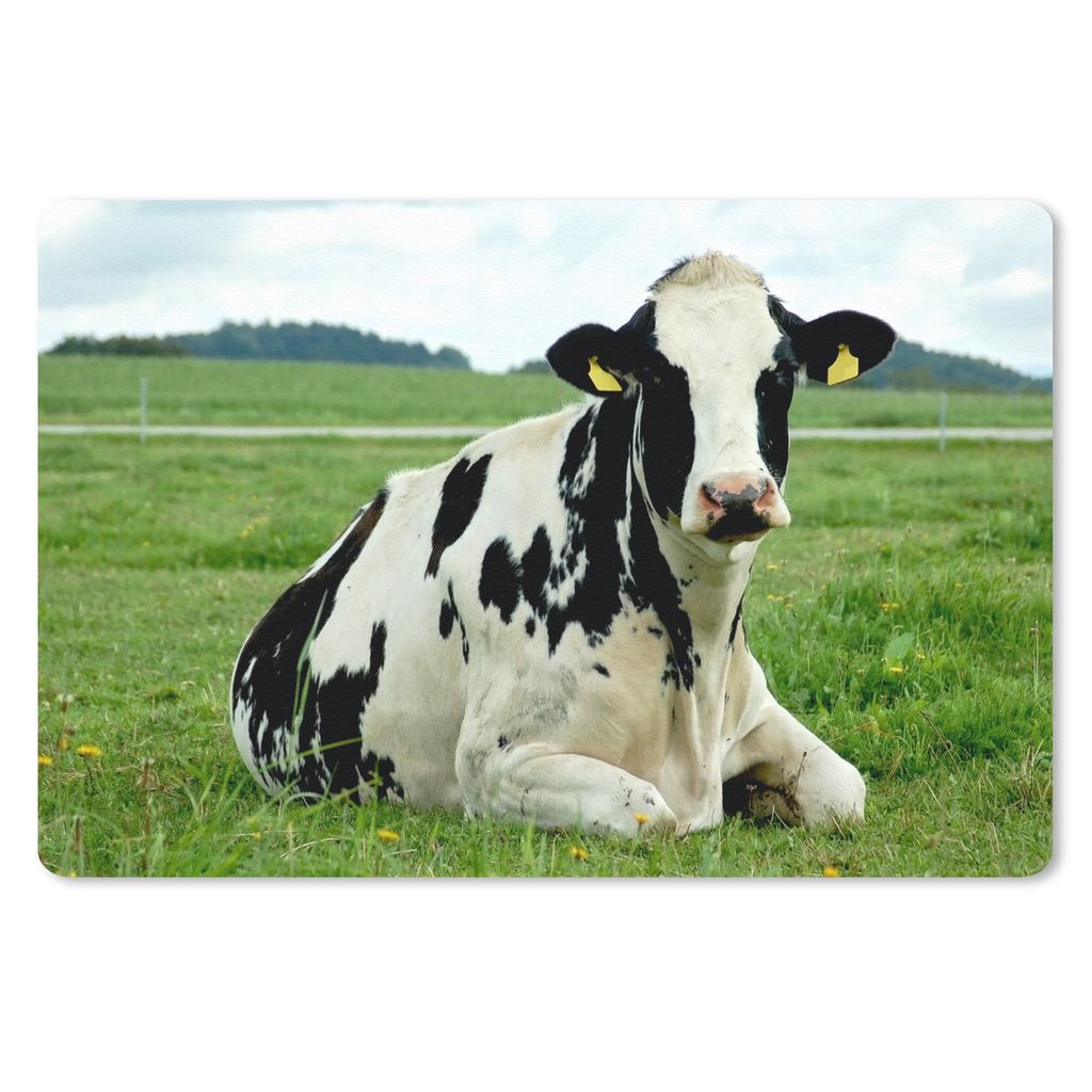 MuchoWow Schreibtischunterlage Kuh - Friesland - Tier 60x40 cm - XXL Mauspad - Großes Mauspad