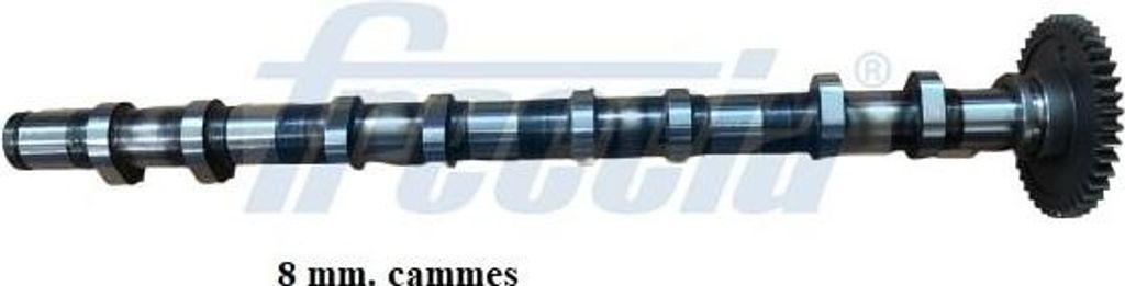 FRECCIA CM05-2317 Nockenwelle Auslass für BMW 3 Touring (E91) 3 Limousine (E90) 5 Touring (F11) 1 Schrägheck (E87) 5 Limousine (E60) 1 Schrägheck