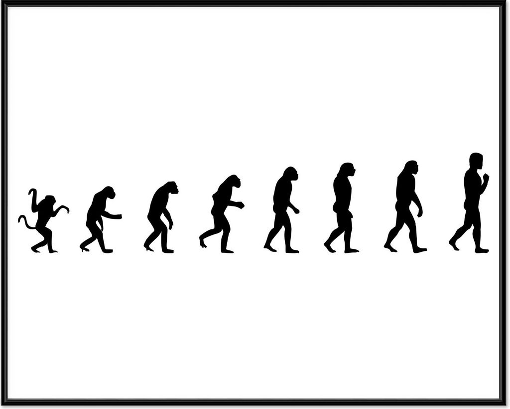 Wallario Wandbild Evolution - Die Entwicklung des Menschen, Größe: 40,30 x 50,30 cm, Poster mit schwarzem Aluminiumrahmen