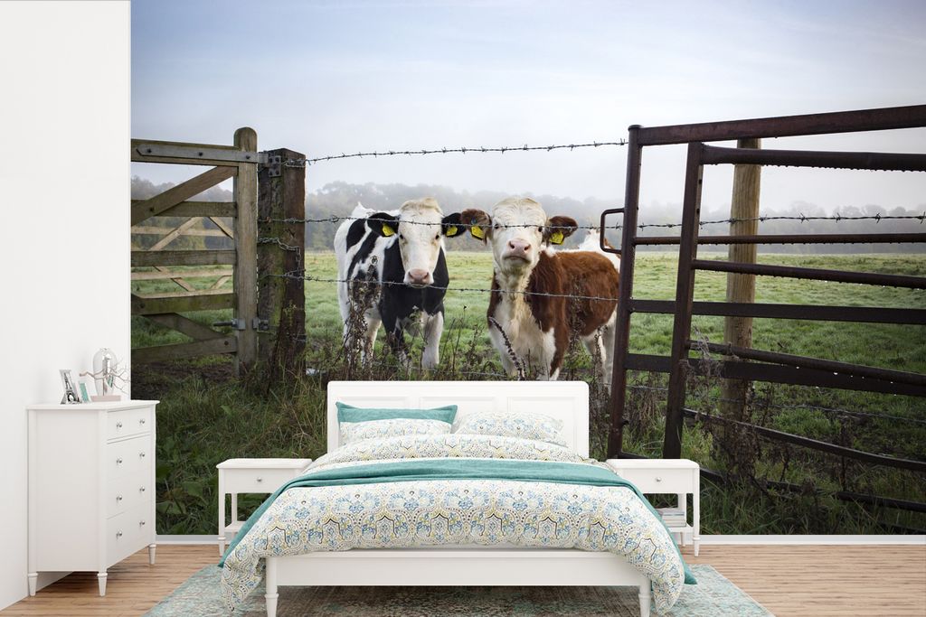 MuchoWow Fototapete für Wohnzimmer oder Schlafzimmer Wandtapete Vinyl Motivtapete Kühe - Zaun - Friesland - 360x240 cm - Vinyl-Tapete