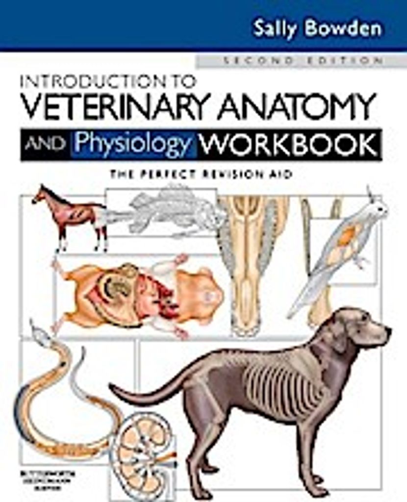 Introduction to Veterinary Anatomy and Physiology Workbook Immagine del prodotto 