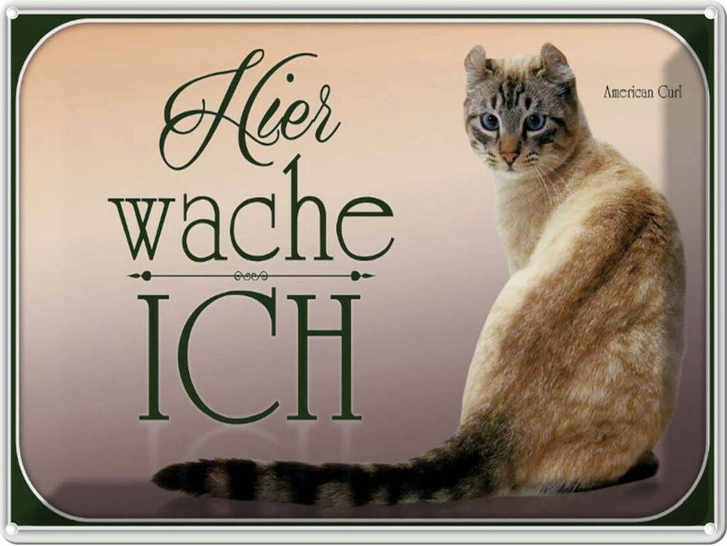 vianmo Blechschild 30x40 cm Katze American Curl hier wache ich