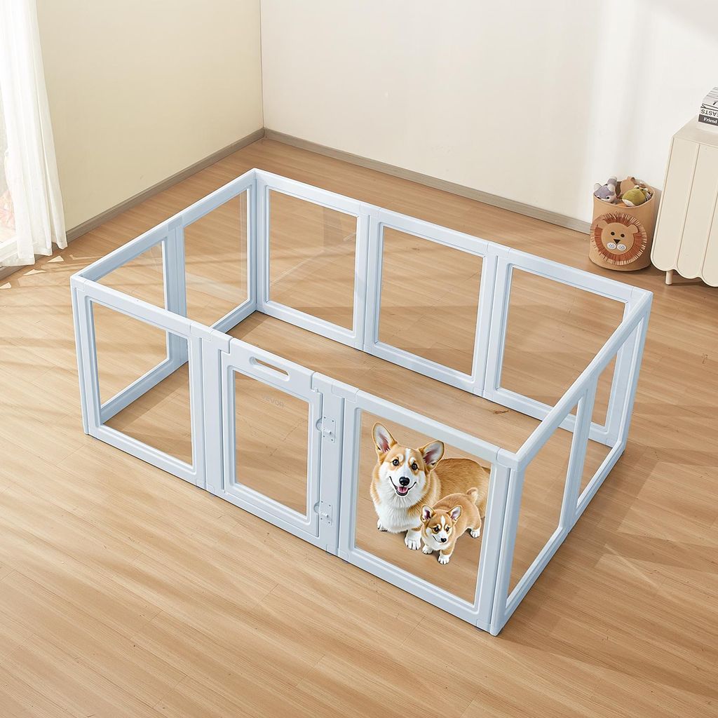 A blue dog playpen with transparent windows is set up on a wooden floor in a room. Two corgis, an adult and a puppy, are inside the playpen.