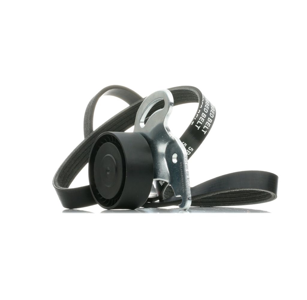 RIDEX 542R0231 Keilrippenriemensatz für RENAULT Clio III Schrägheck (BR0/1, CR0/1)