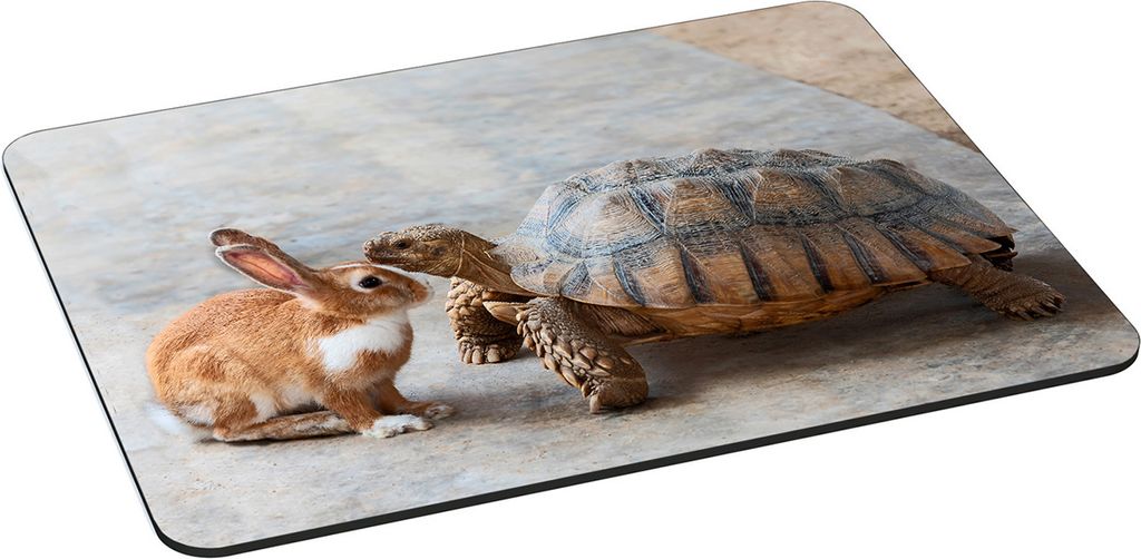 PEDEA Design Mauspad 35 x 26 cm, Rabbit and turtle