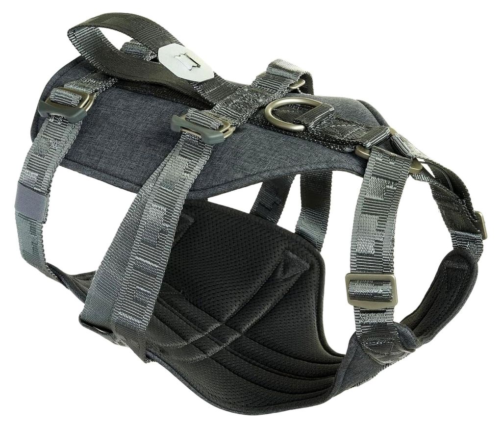 Reise-Hundegeschirr ECO (10-20 kg, BlackBerry)