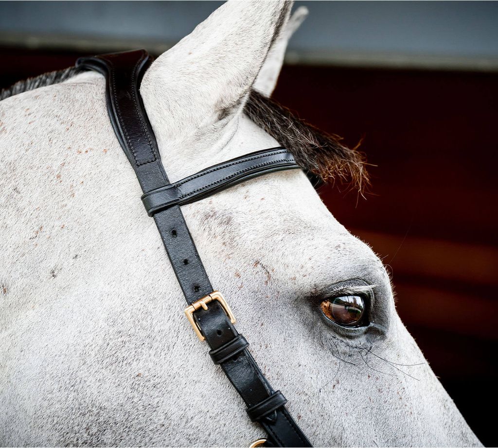 Horseware Ireland Snaffle Bridle Micklem 2 Multi Bridle Obrázek produktu 6