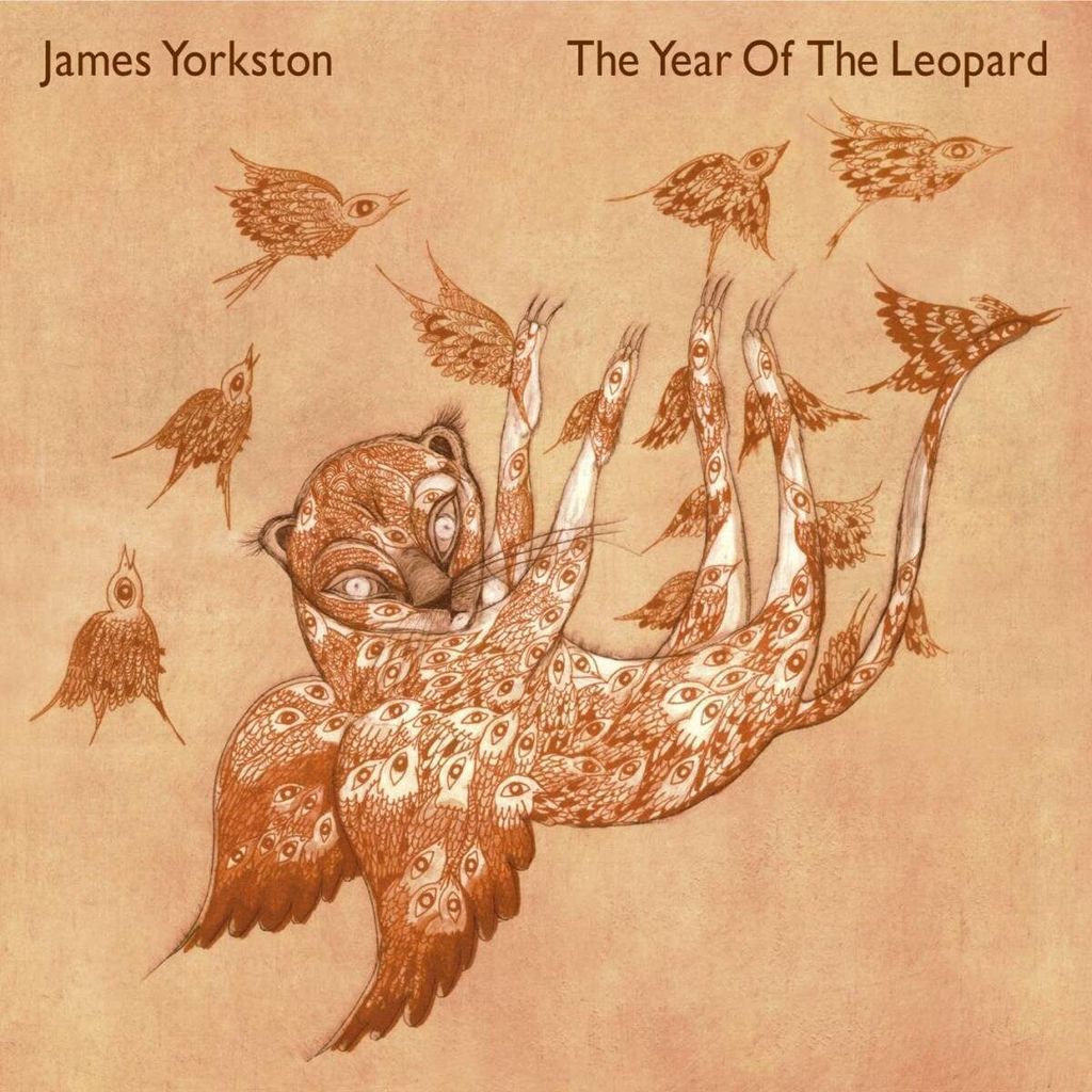 James Yorkston: The Year Of The Leopard - - (LP / T)