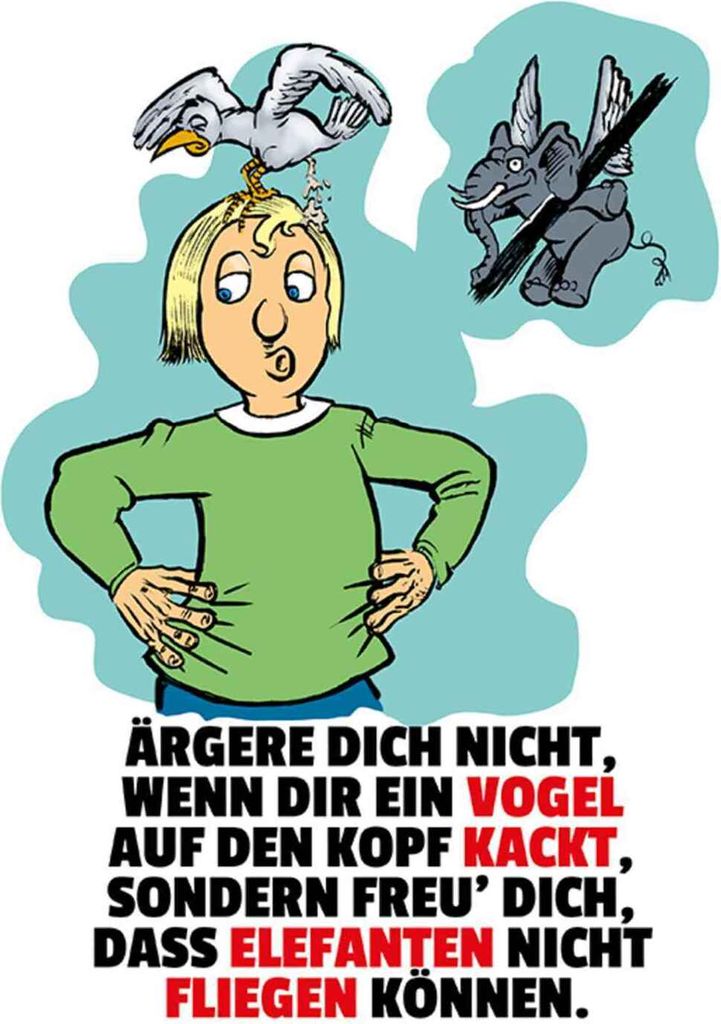 vianmo Holzschild 30x20 cm Freu dich Elefanten nicht fliegen Spruch Zitat