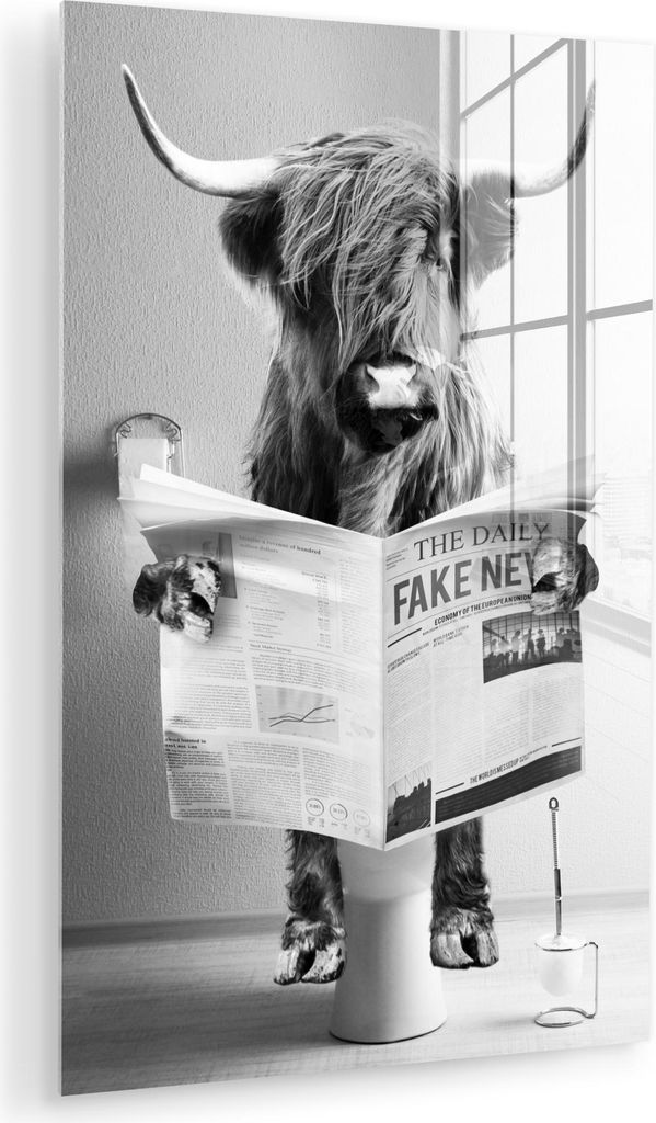 MuchoWow Glasbilder - Bilder auf Wandbild - Foto auf Glas Schottisches Hochlandrind - WC - Zeitung - Lustig - Tier 60x90 cm Wanddekoration aus Glas...