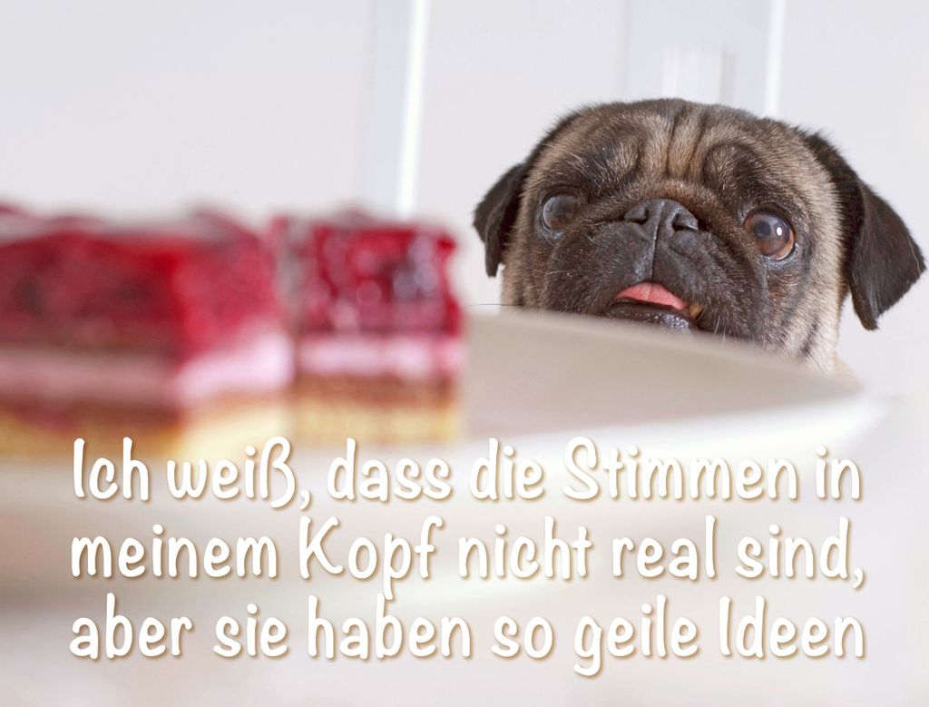 CALVENDO Puzzle Ich weiß, dass die Stimmen in meinem Kopf nicht real sind, aber Sie haben so geile Ideen. | 1000 Teile Lege-Größe 64x48cm Foto-P...